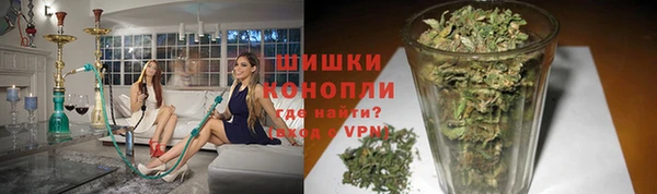 PSILOCYBIN Дмитров