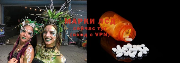 PSILOCYBIN Дмитров