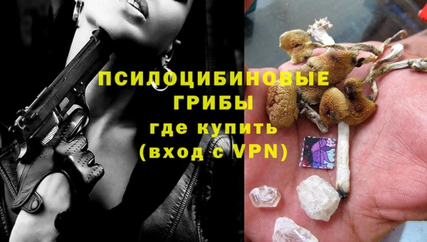 МДМА Дмитровск