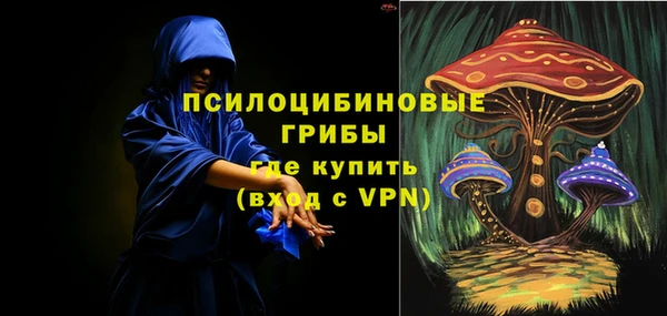PSILOCYBIN Дмитров