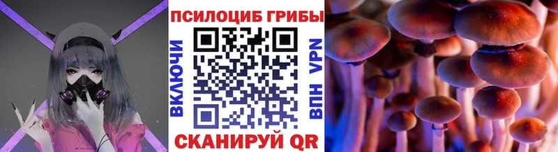 Галлюциногенные грибы MAGIC MUSHROOMS Каневская